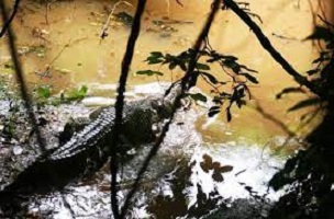 Ani Ozalla Lake and Shrine- Nkanu