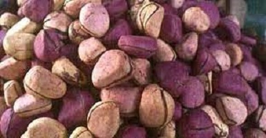 The symbol and importance of Oji Igbo (Kola nut) in Igbo culture and tradition