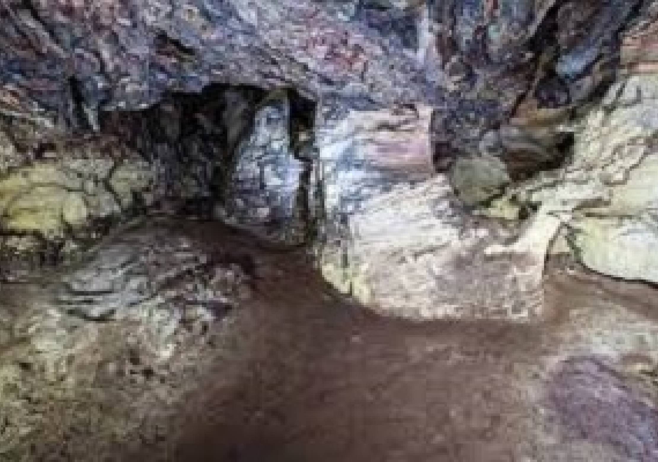 Arochukwu Long JuJu Shrine and slave trade route